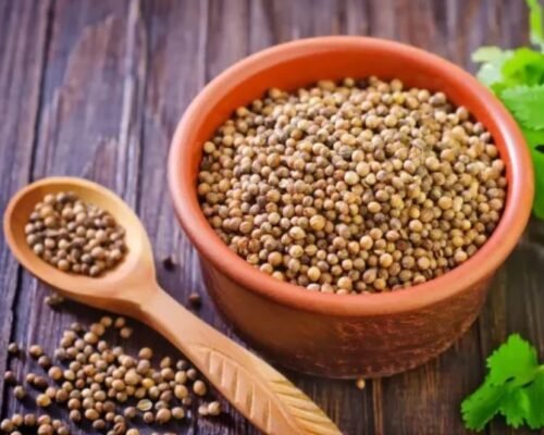 Coriander