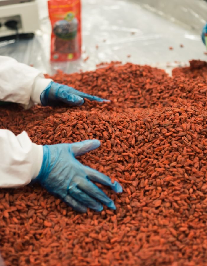 person holding grains on table